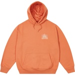 Thumbnail PALACE PORTER LOGO HOOD ORANGE one color
