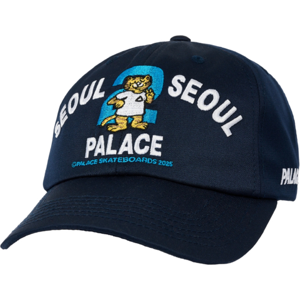 PALACE SEOUL 6 PANEL NAVY one color