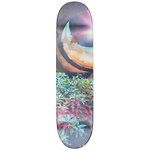 Thumbnail BRADY PRO-S 8.125 one color