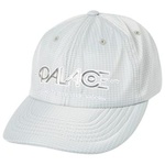 Thumbnail OBSISSION 6-PANEL SILVER one color