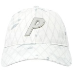 Thumbnail MULTICAM P 6-PANEL ALPINE one color