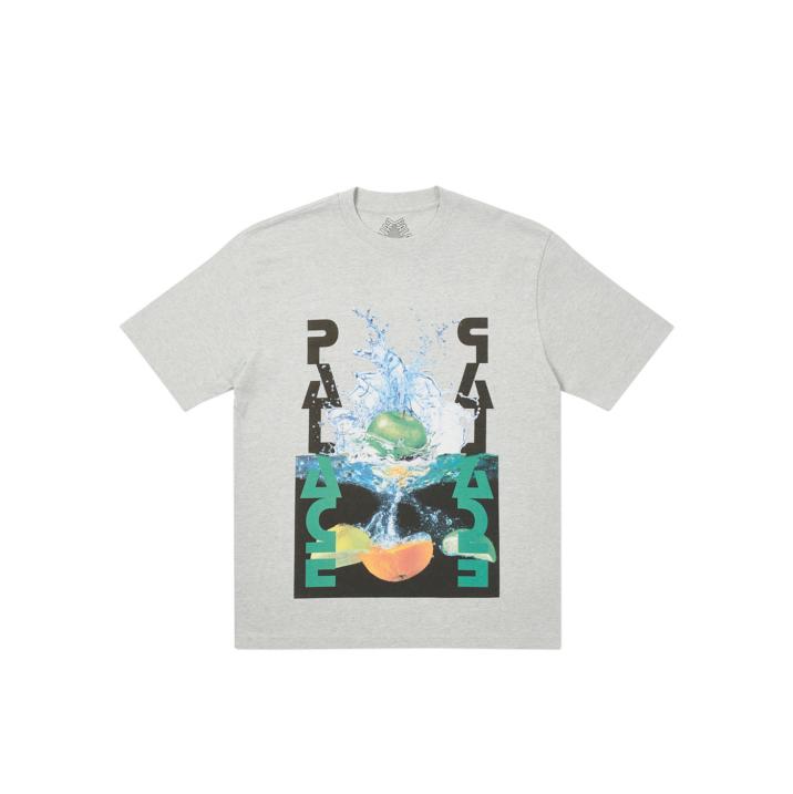 FRUI T-SHIRT GREY MARL one color