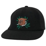 Thumbnail WEED BULLDOG WOOL 6-PANEL BLACK one color