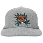 Thumbnail WEED BULLDOG WOOL 6-PANEL GREY one color