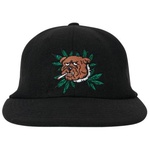 Thumbnail WEED BULLDOG WOOL 6-PANEL BLACK one color