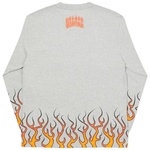 Thumbnail RAVEDIGGER LONGSLEEVE GREY MARL one color