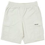 Thumbnail SHELL CARGO SHORTS ICE one color