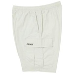 Thumbnail SHELL CARGO SHORTS ICE one color