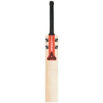 Thumbnail PALACE GRAY NICOLLS CRICKET BAT WOOD one color
