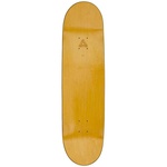 Thumbnail SESSION 8.6 one color