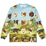 Thumbnail PALACE PAYNE WAFFLE LONGSLEEVE MULTI one color
