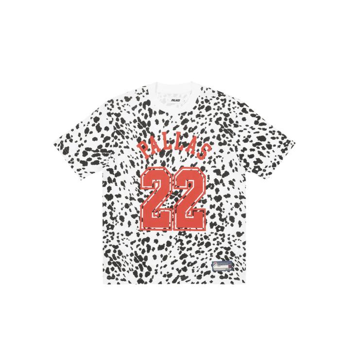 SPORTS MESH T-SHIRT DALMATION one color