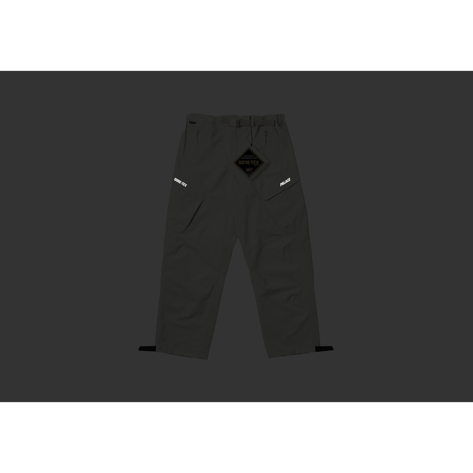 Thumbnail GORE-TEX R-TEK CARGO TROUSER STONE one color