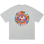 Thumbnail PALACE NATIONS T-SHIRT GREY MARL one color