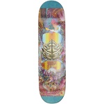 Thumbnail KYLE PRO S36 8.5 one color