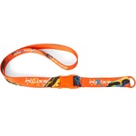 Thumbnail FROGGER LANYARD ORANGE / MULTI one color