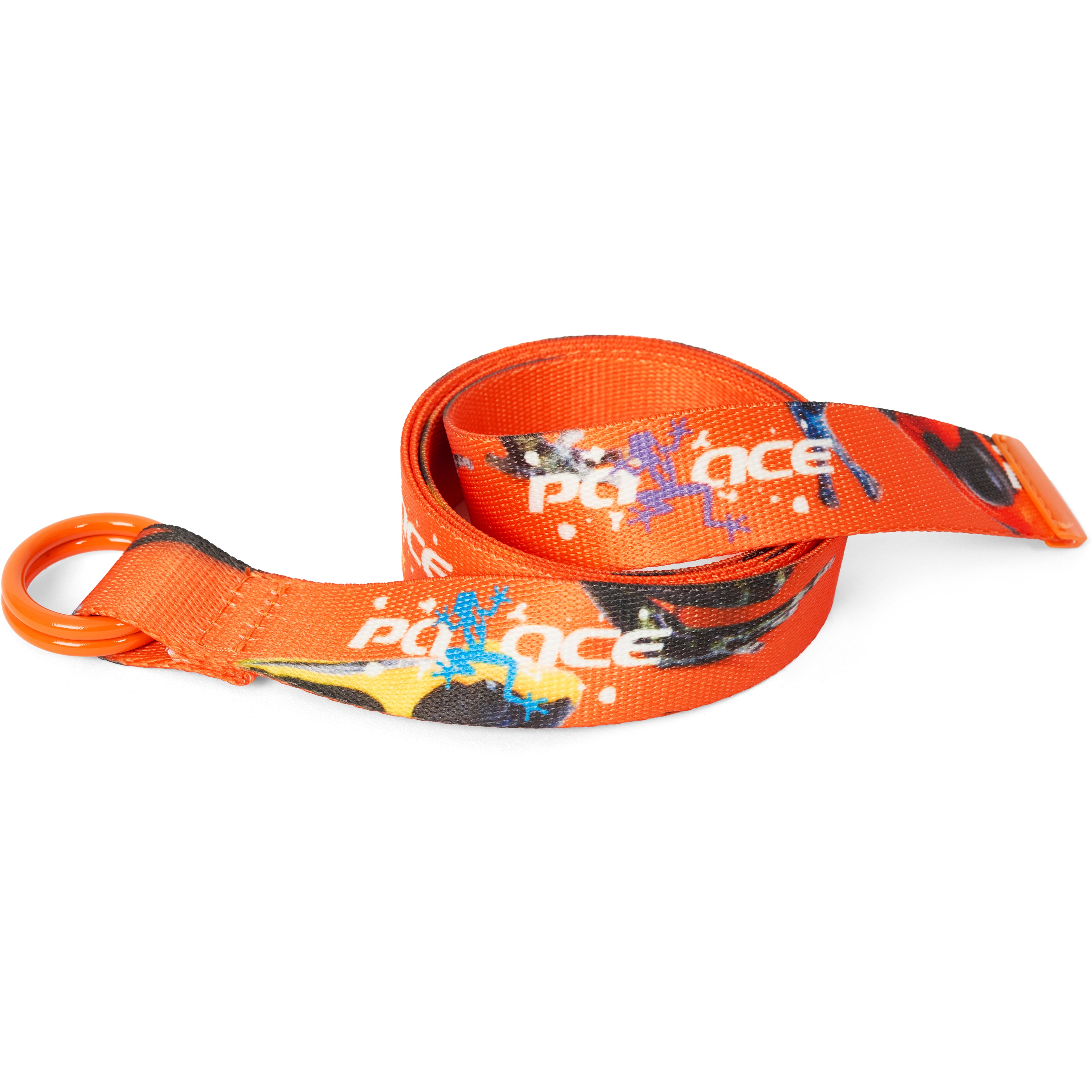Thumbnail FROGGER BELT ORANGE / MULTI one color