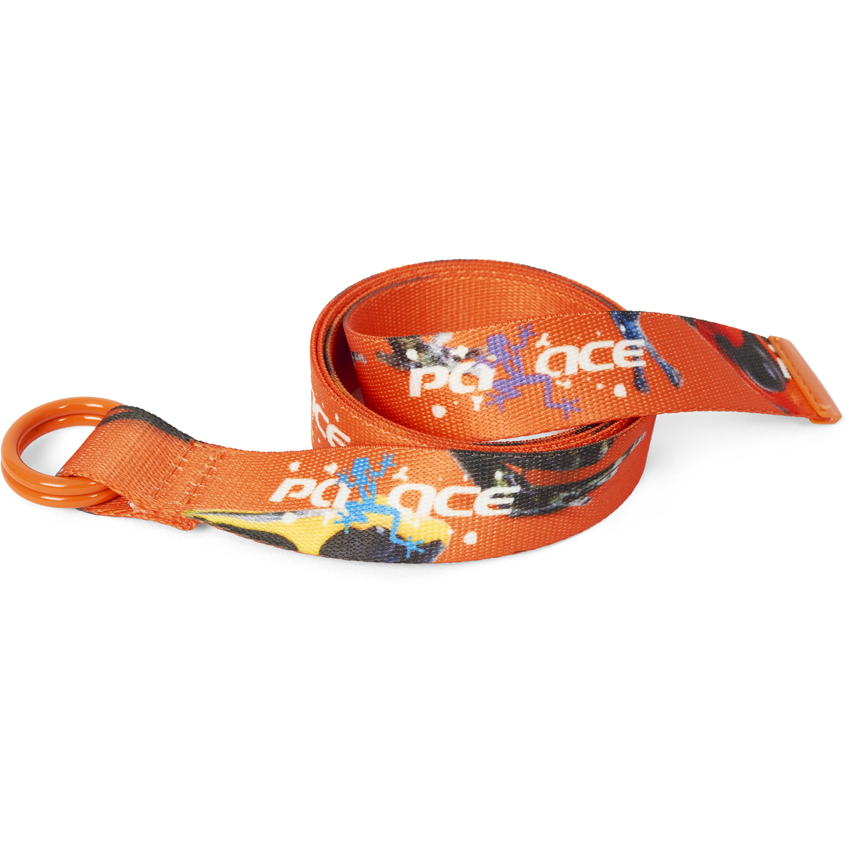 Thumbnail FROGGER BELT BLUE / MULTI one color