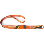 Thumbnail FROGGER LANYARD ORANGE / MULTI one color