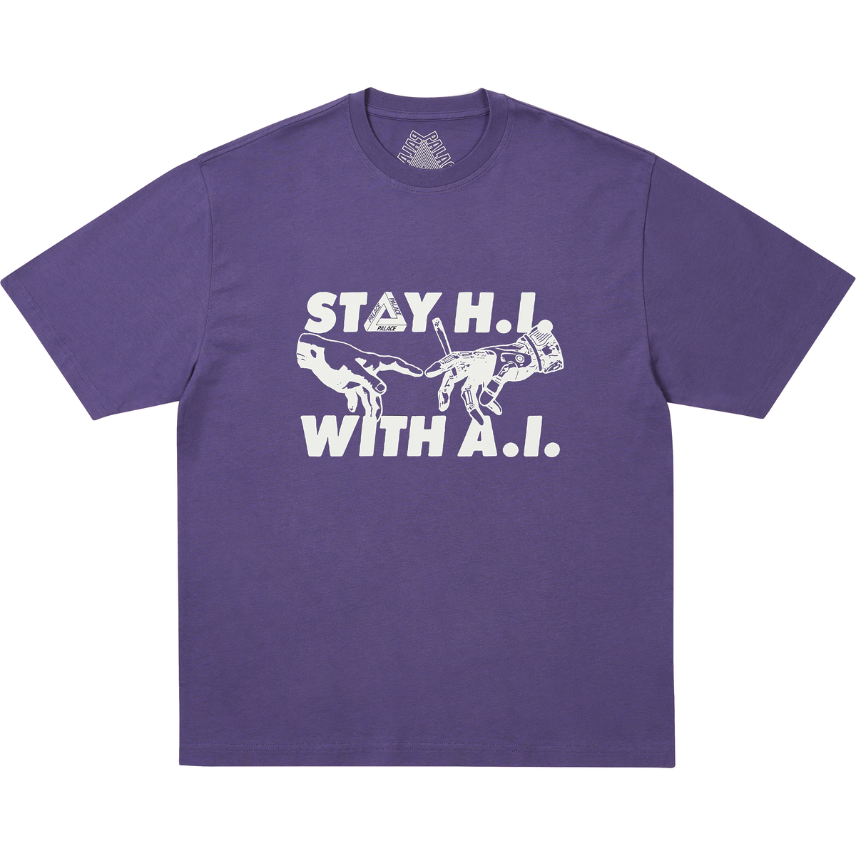 INDICA T-SHIRT PURP one color