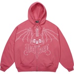 Thumbnail WINGSPAN TRIPLE STITCH HOOD POSH PINK one color