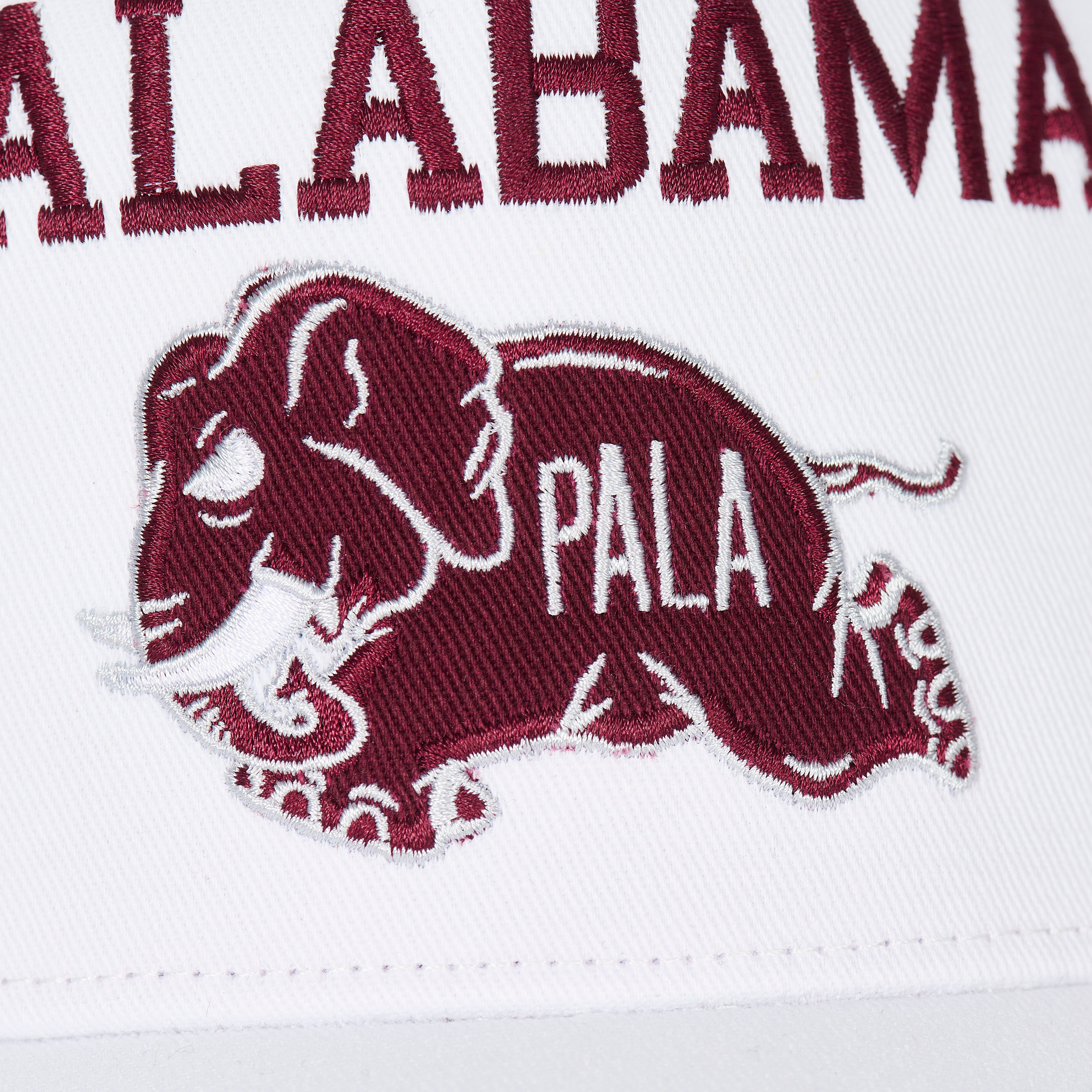 Thumbnail PALABAMA P FRAME 5-PANEL WHITE one color