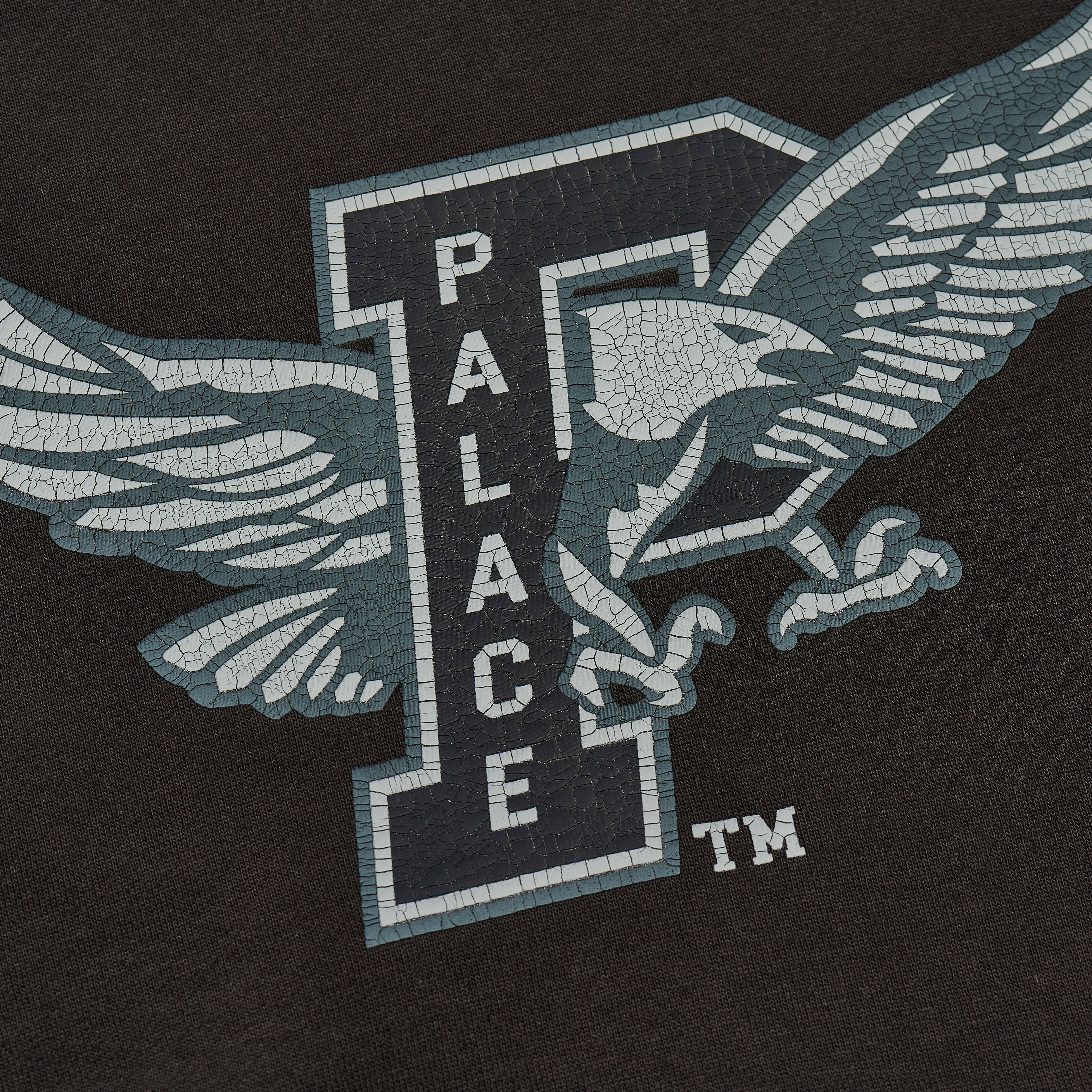 Thumbnail PALACE EAGLES HOOD BLACK one color