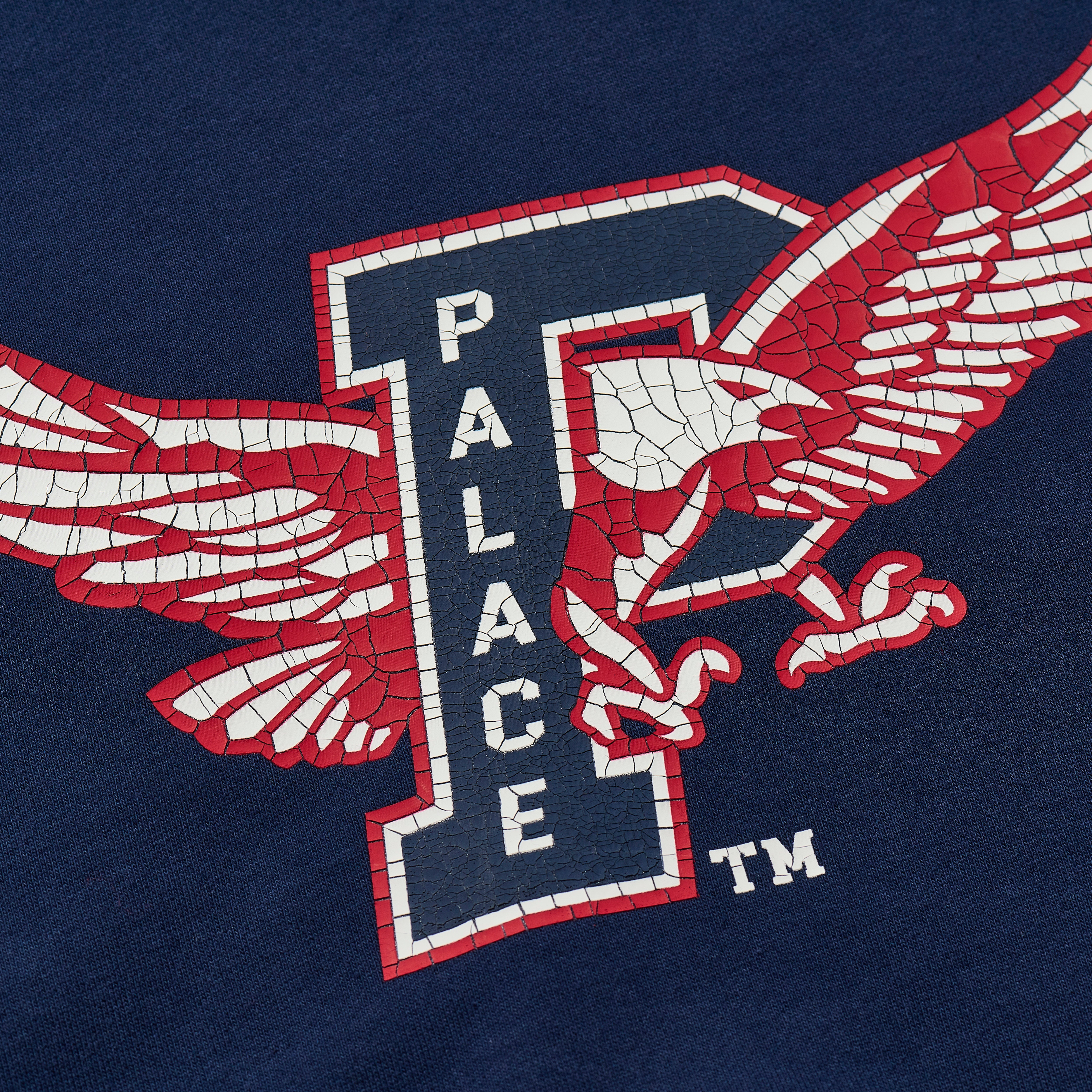 Thumbnail PALACE EAGLES HOOD NAVY one color