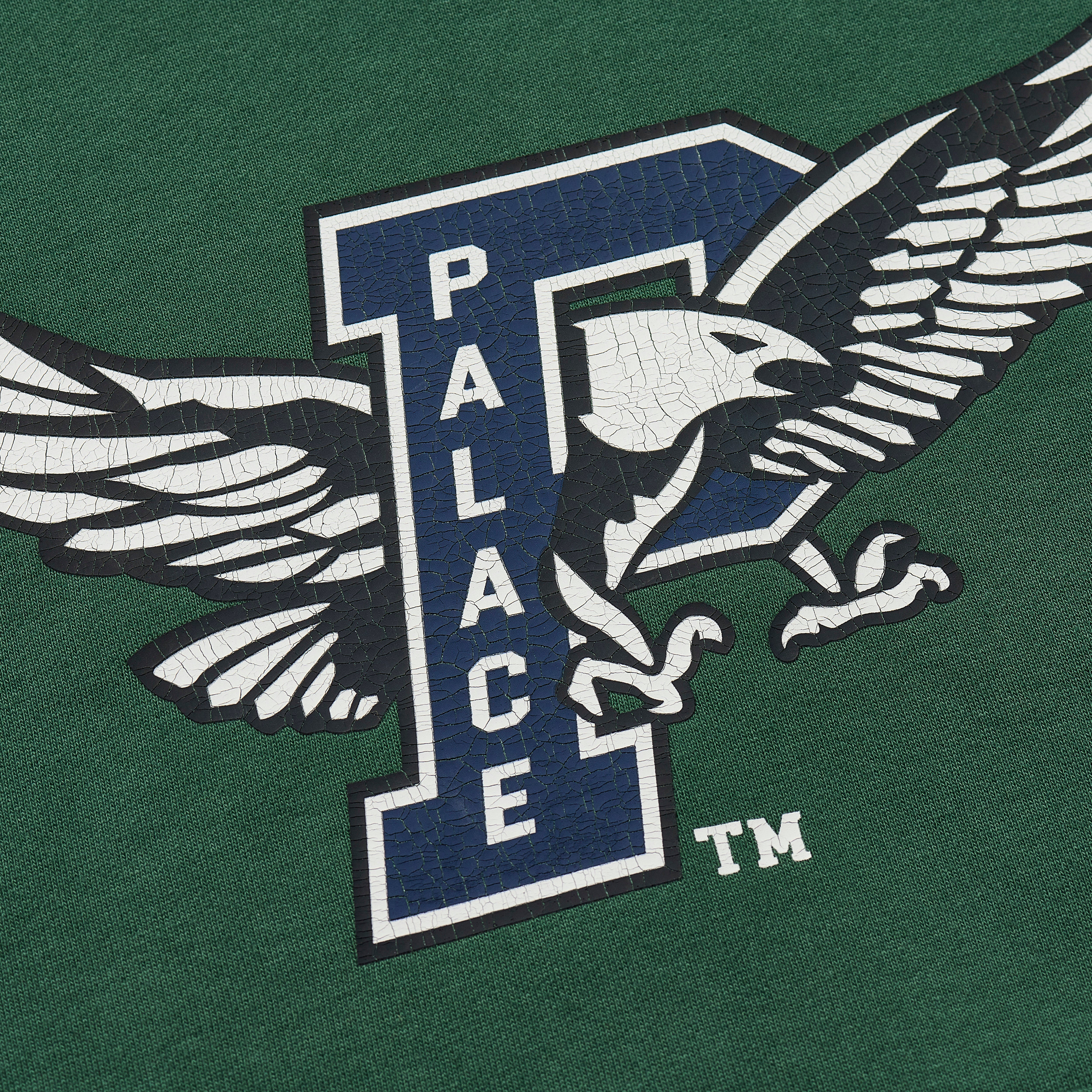 Thumbnail PALACE EAGLES HOOD RACEY GREEN one color