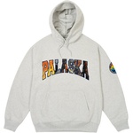 Thumbnail APPALACHIAN HOOD GREY MARL one color