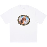 Thumbnail EQUESTRIAN T-SHIRT WHITE one color