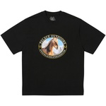 Thumbnail EQUESTRIAN T-SHIRT BLACK one color