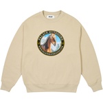 Thumbnail PALACE OUTDOORS CREW STONEY GREY one color