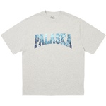 Thumbnail PALASKA T-SHIRT GREY MARL one color