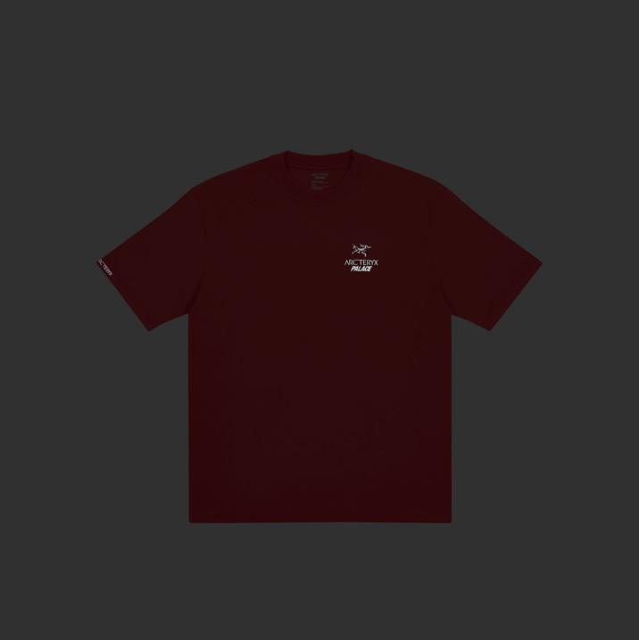 PALACE ARC'TERYX T-SHIRT LARGE OCHRE