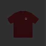 Thumbnail PALACE T-SHIRT ARC TERYX OCHRE one color