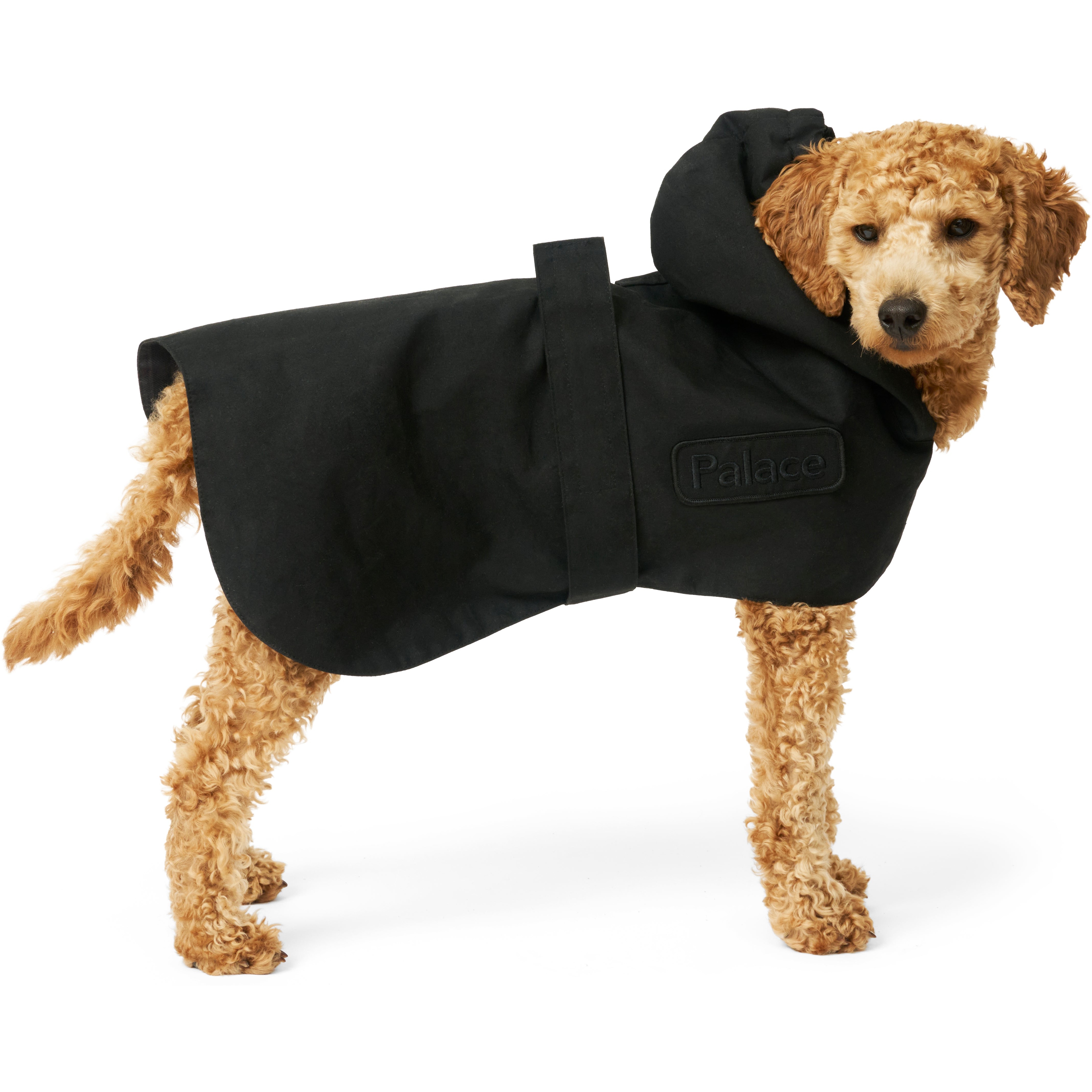 Thumbnail PALACE BARBOUR DOG COAT BLACK one color