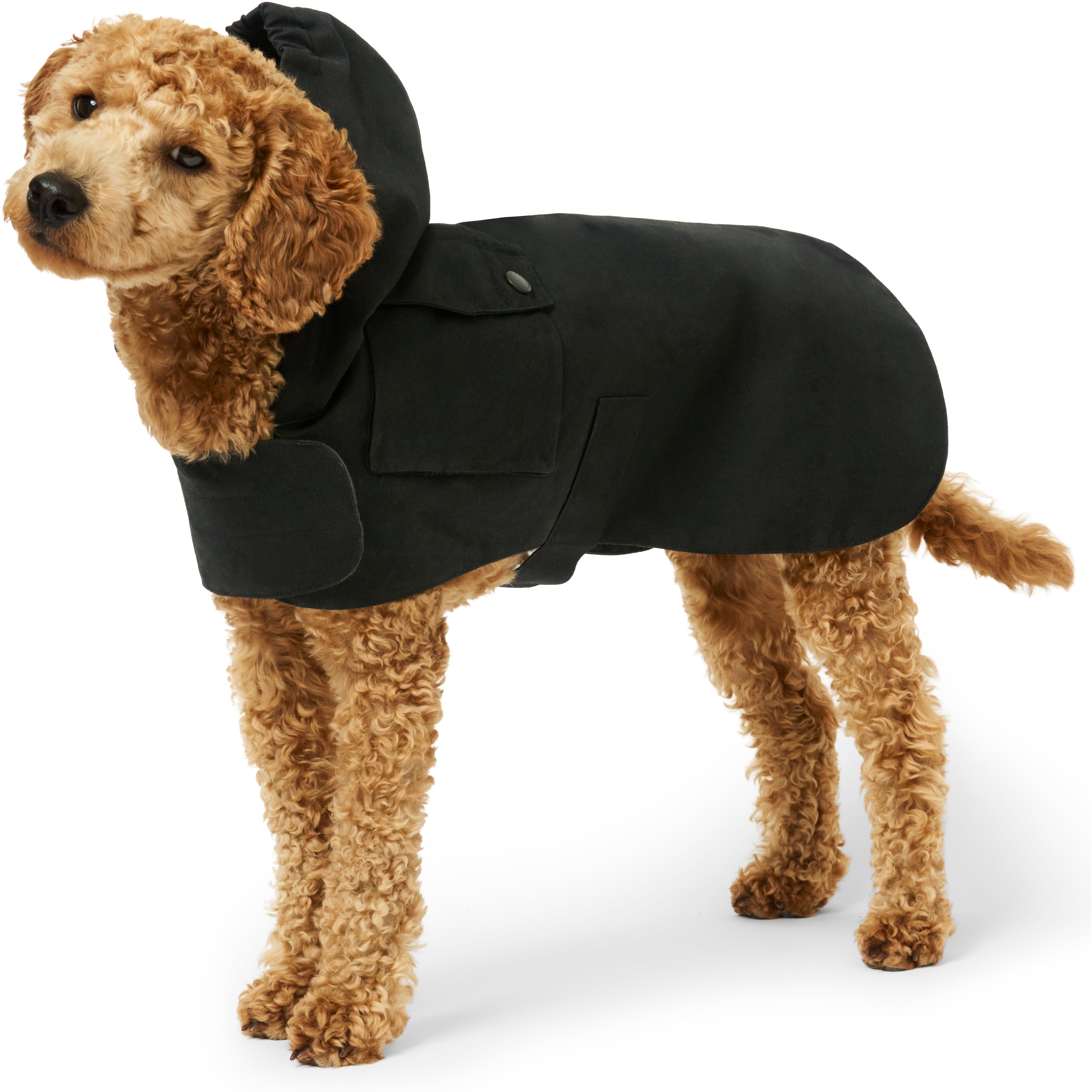 Thumbnail PALACE BARBOUR DOG COAT BLACK one color
