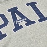 Thumbnail PALACE GAP HOOD GREY one color