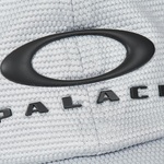Thumbnail PALACE OAKLEY 6-PANEL SILVER / BLACK one color