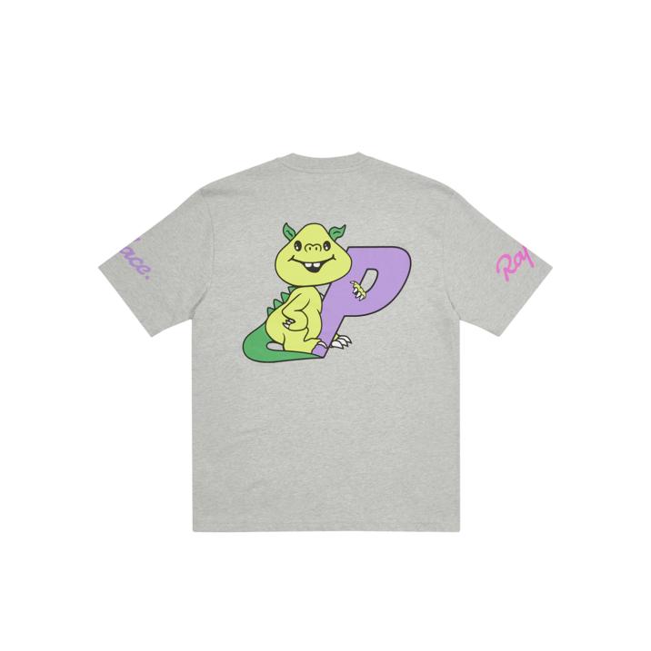 PALACE RAPHA T-SHIRT DRAGON GREY one color