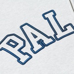 Thumbnail OUTLINE ARCH ZIP HOOD GREY MARL one color