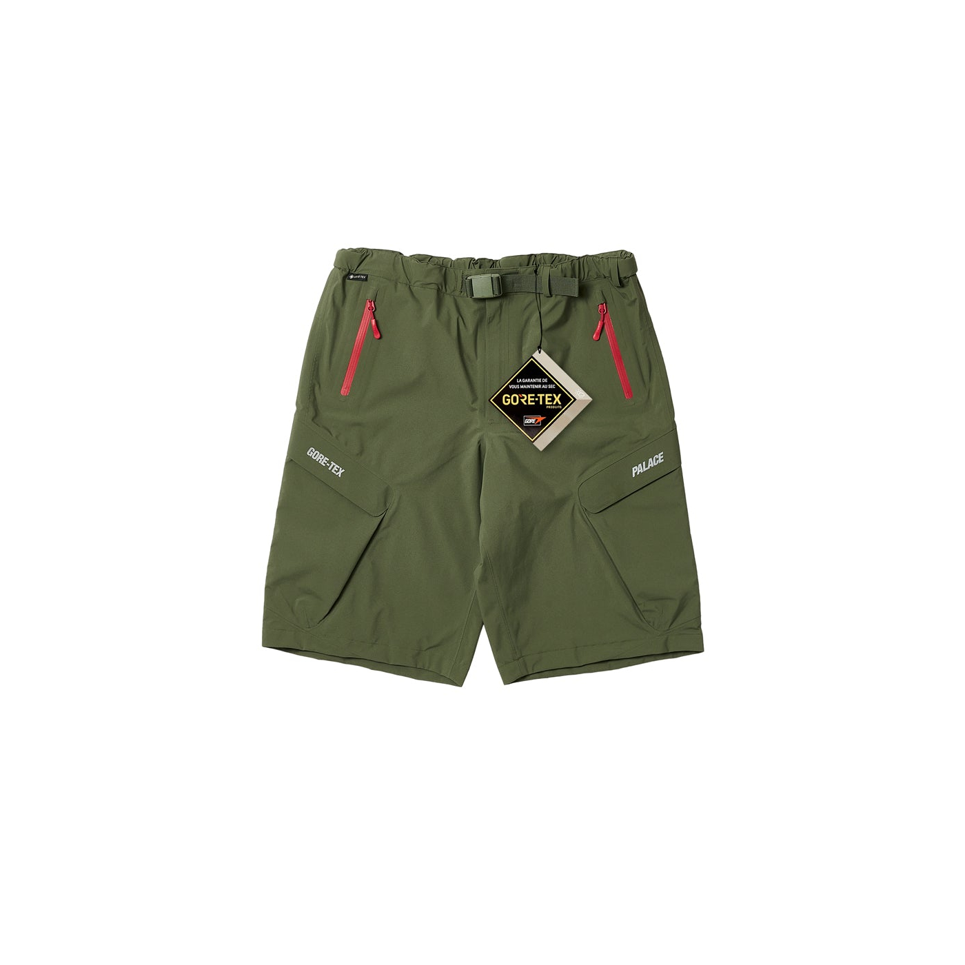 Thumbnail GORE-TEX R-TEK CARGO SHORT OLIVE one color