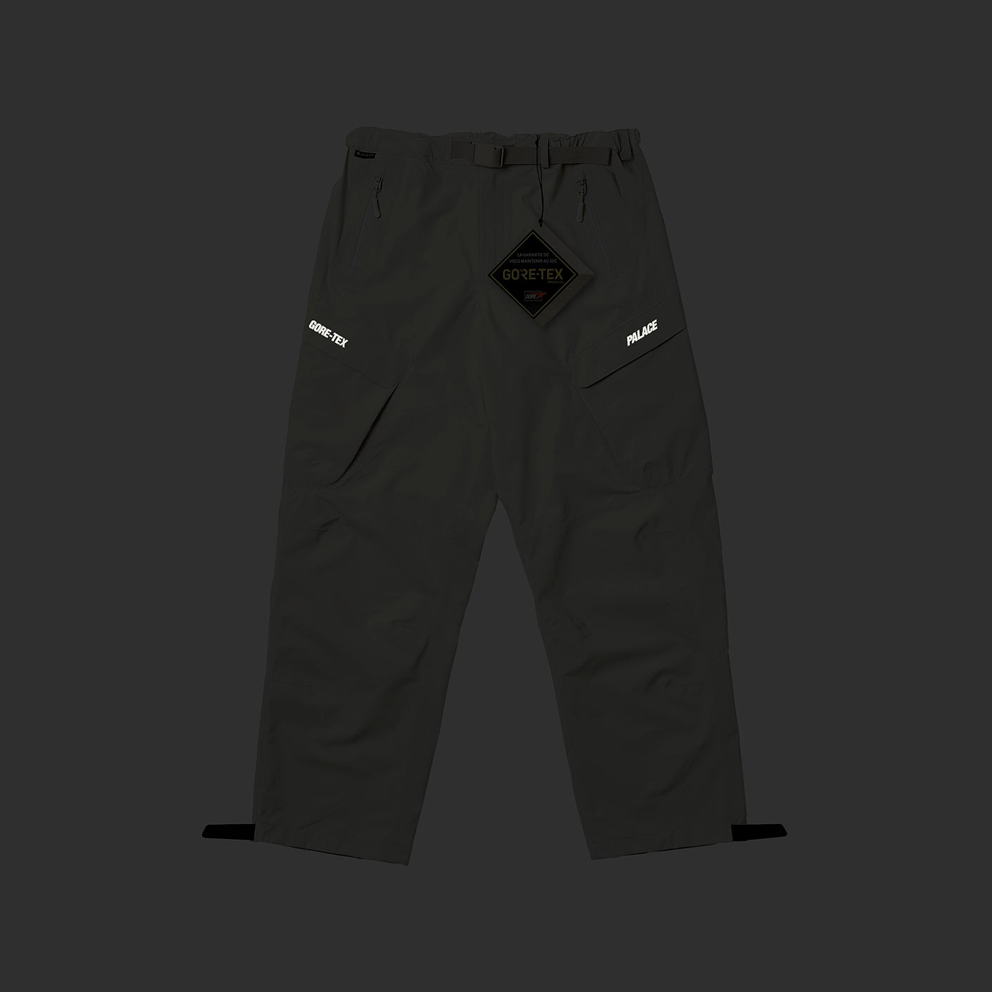 Thumbnail GORE-TEX R-TEK CARGO TROUSER STONE one color