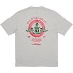 Thumbnail FORTUNATE T-SHIRT GREY MARL one color