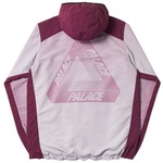 Thumbnail D. FADE SHELL TOP GREY / BURGUNDY one color