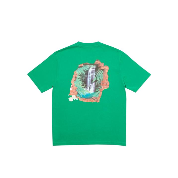 FALL-T T-SHIRT GREEN one color