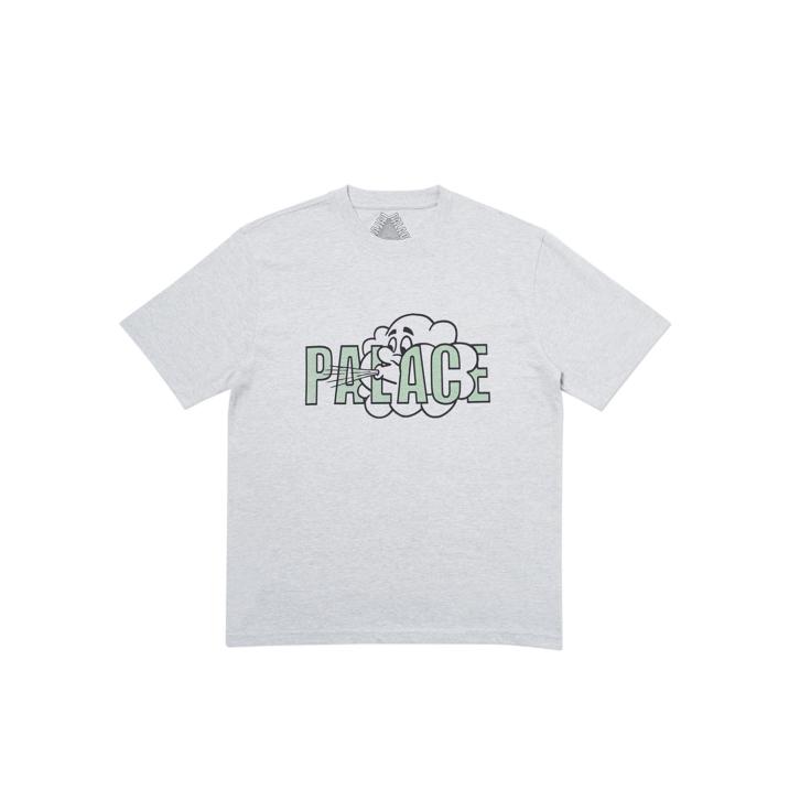 Thumbnail FALL-T T-SHIRT GREY MARL one color
