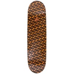 Thumbnail INFINITY SATURN 8.6 one color