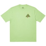 Thumbnail BONSAI T-SHIRT PISTACHIO one color